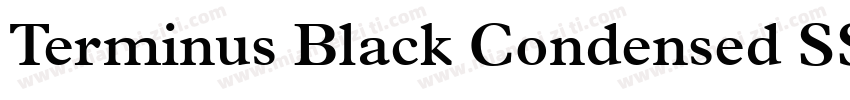 Terminus Black Condensed SSi Black字体转换